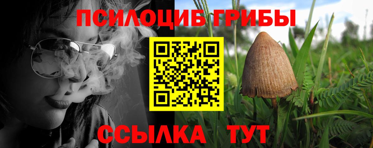 Галлюциногенные грибы MAGIC MUSHROOMS Великий Устюг