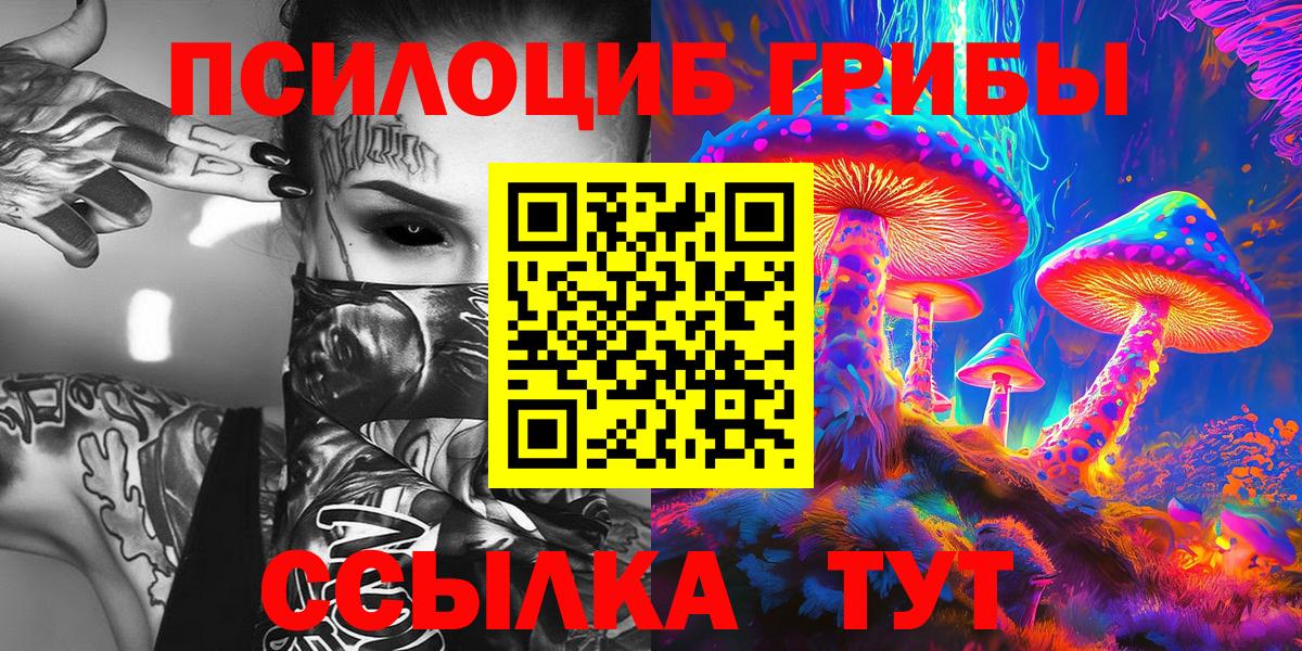 закладка  Псилоцибиновые грибы Psilocybe  Вход с VPN  Великий Устюг 